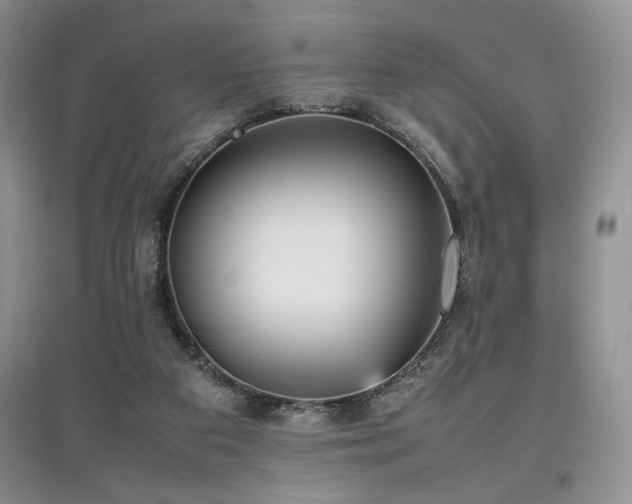 X0000097800113200803141102