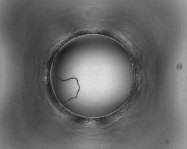 X0000097800115200803141102