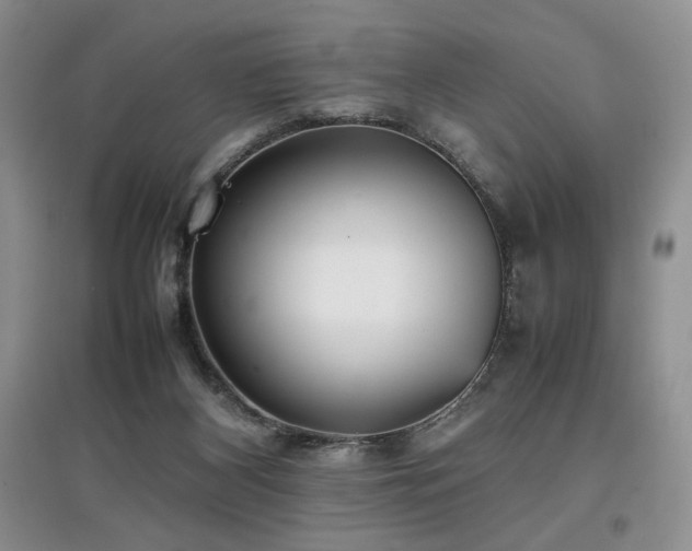 X0000097800116200803141102