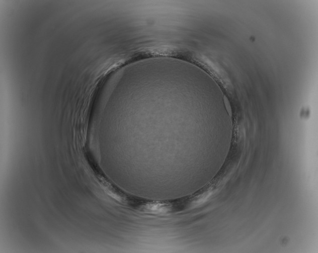 X0000097800117200803141102