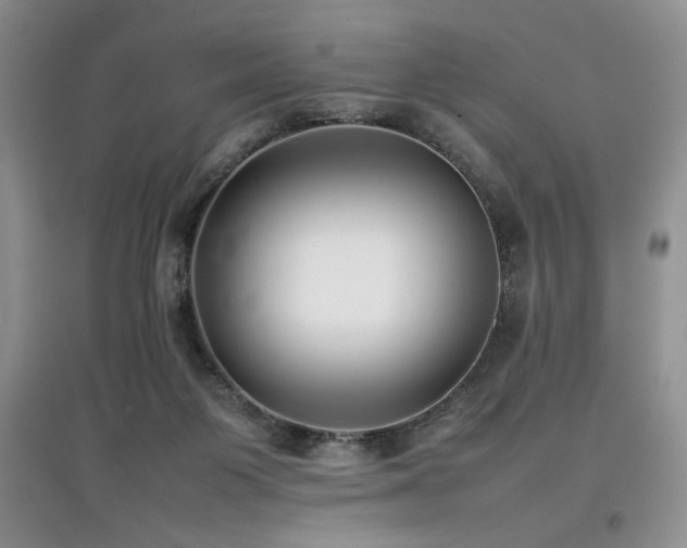 X0000097800119200803141102