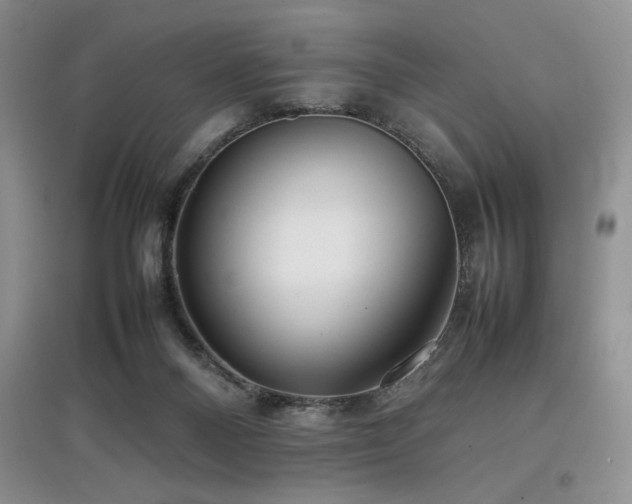 X0000097800120200803141102