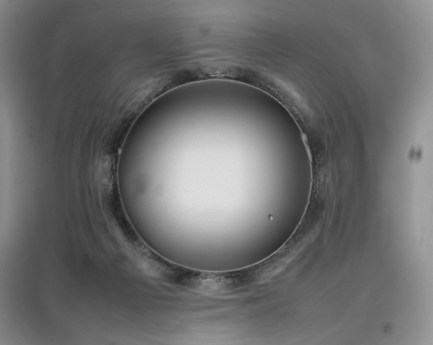 X0000097800121200803141102