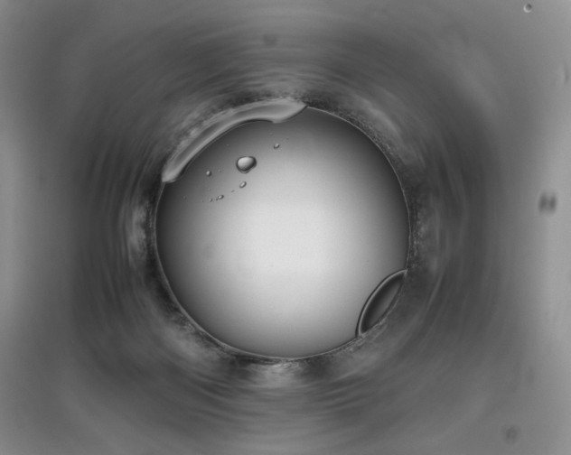 X0000097800122200803141102