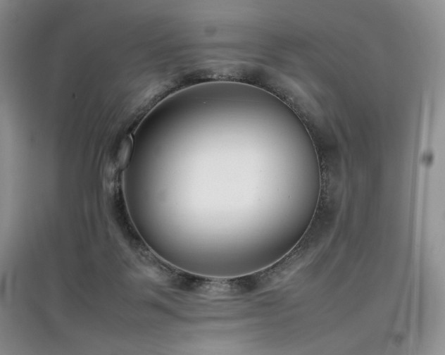 X0000097800123200803141102