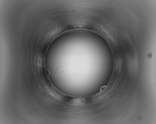 X0000097800126200803141102