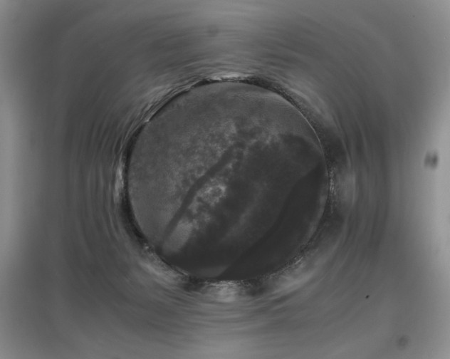 X0000097800127200803141102