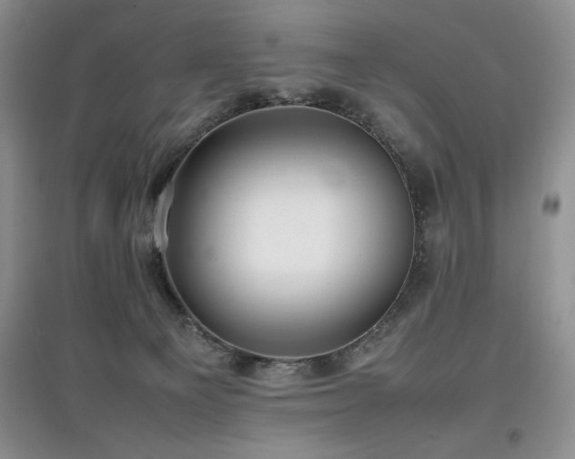 X0000097800129200803141102