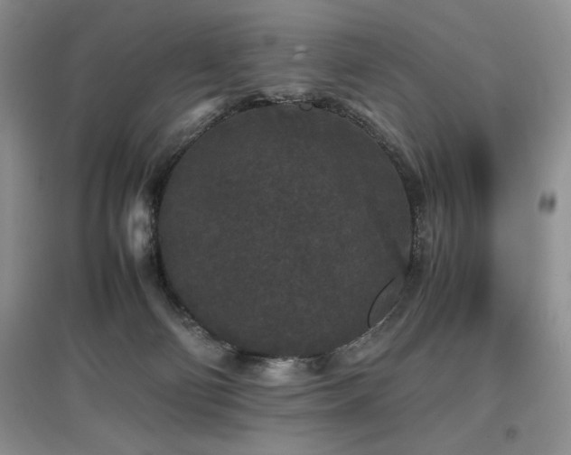 X0000097800130200803141102