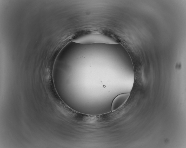 X0000097800131200803141102