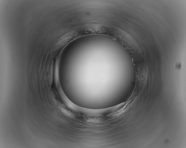 X0000097800132200803141102