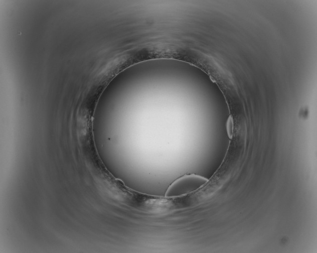 X0000097800133200803141102