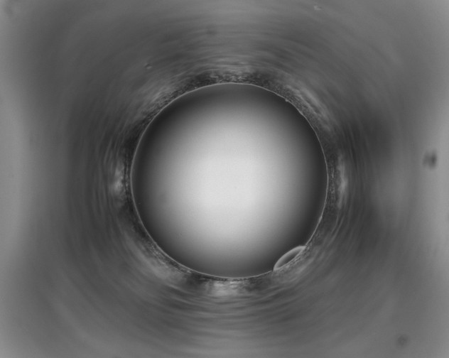 X0000097800134200803141102