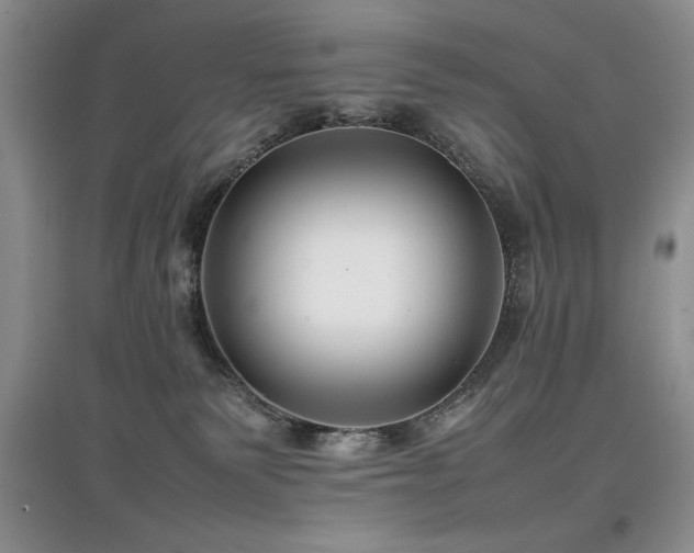 X0000097800135200803141102