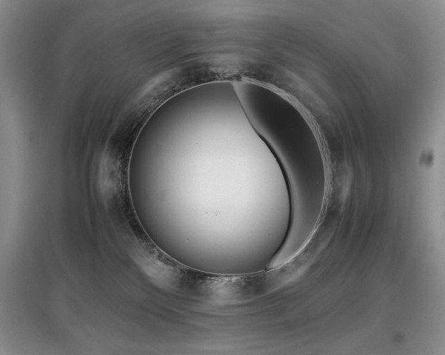 X0000097800136200803141102