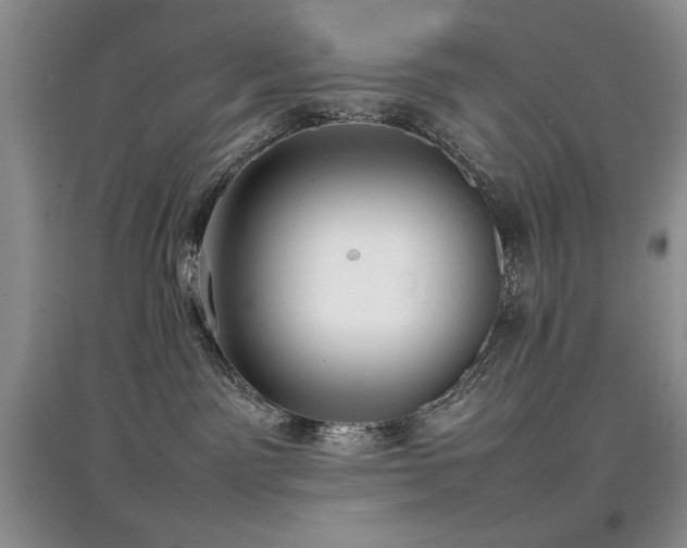 X0000097800141200803141102