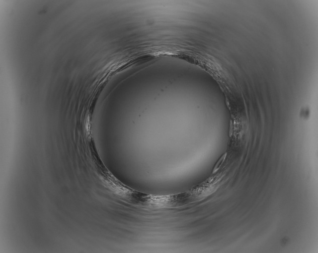 X0000097800143200803141102