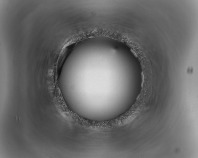 X0000097800144200803141102