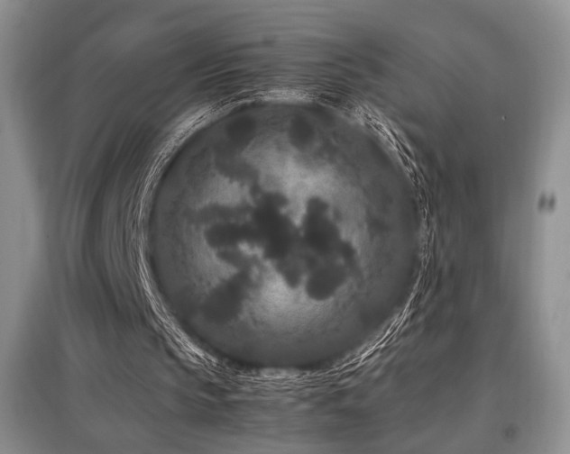 X0000097800145200803141101