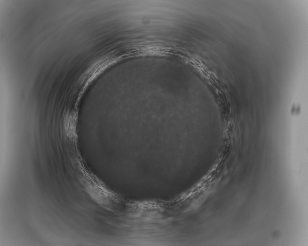 X0000097800146200803141101