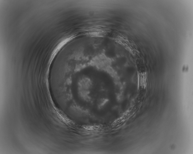 X0000097800147200803141101