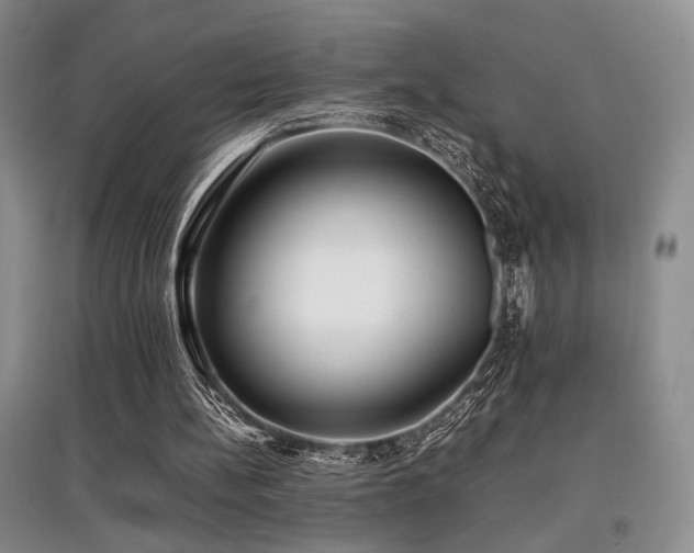 X0000097800148200803141101