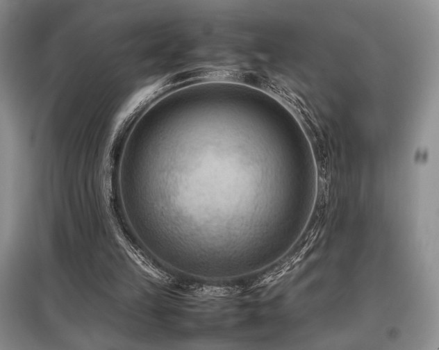 X0000097800149200803141101