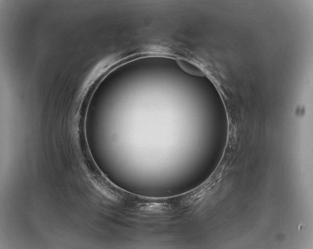 X0000097800151200803141101