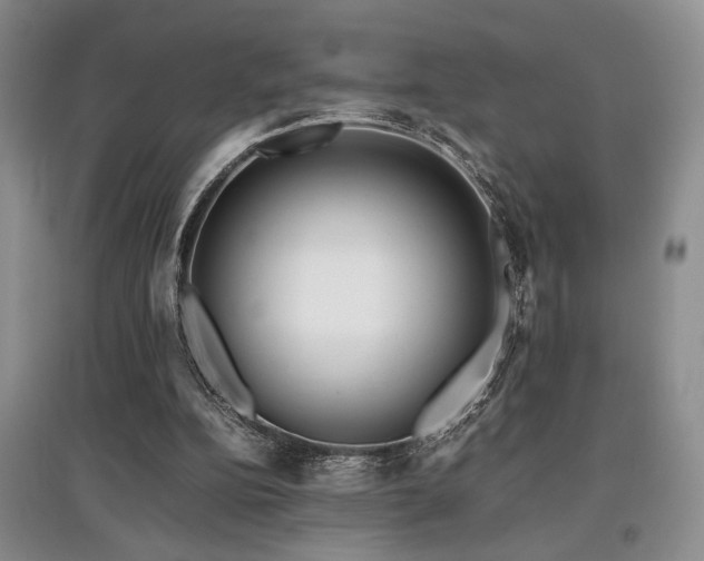 X0000097800152200803141101