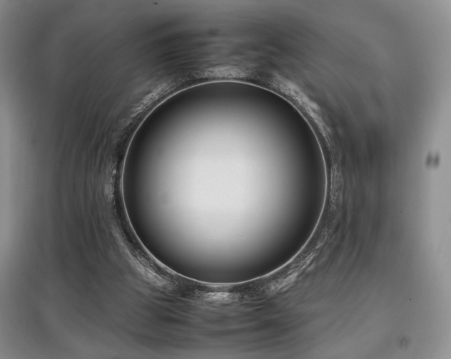 X0000097800153200803141101