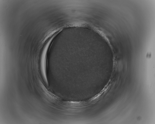 X0000097800154200803141102