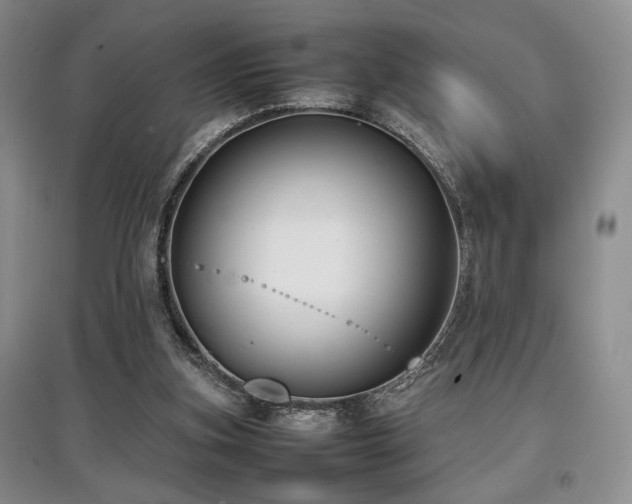 X0000097800155200803141102