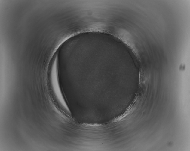 X0000097800156200803141102