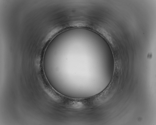 X0000097800159200803141102