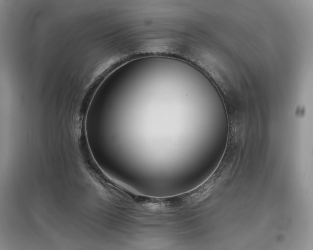 X0000097800160200803141102