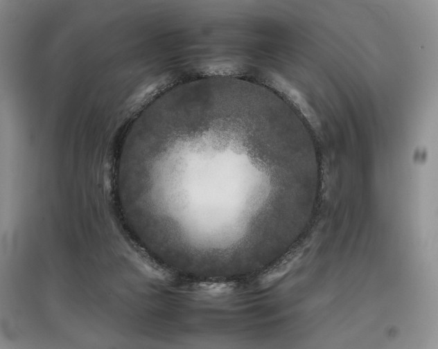 X0000097800161200803141102