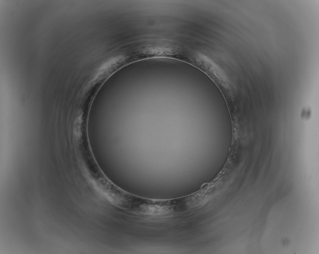 X0000097800163200803141102