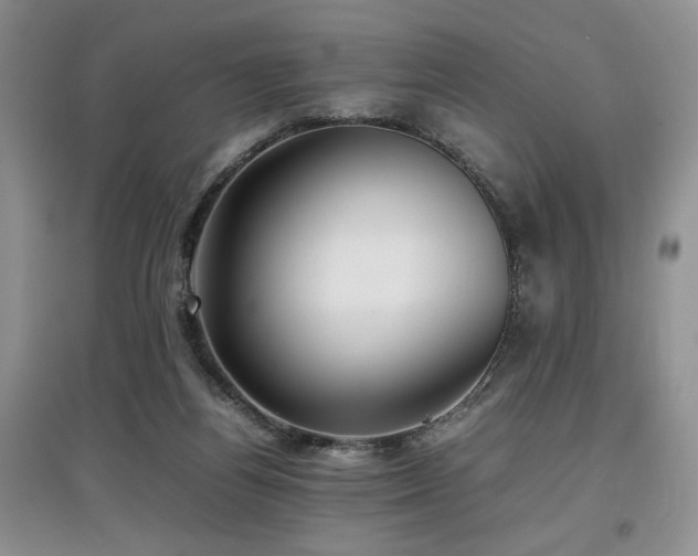 X0000097800164200803141102