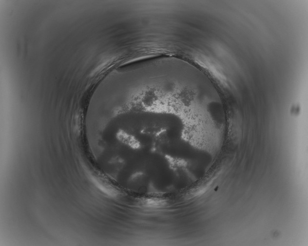 X0000097800165200803141102