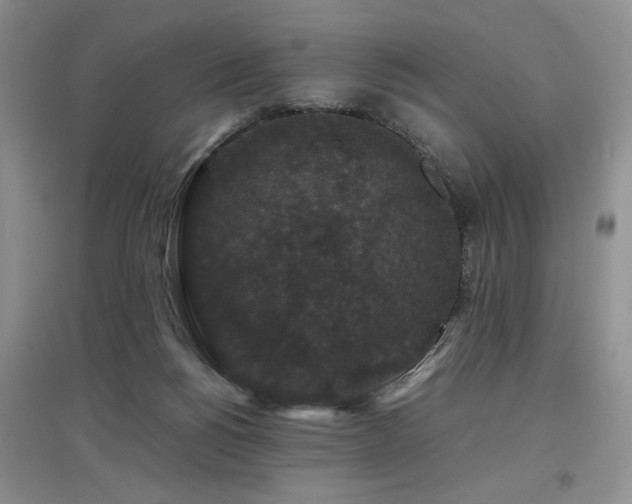 X0000097800168200803141102