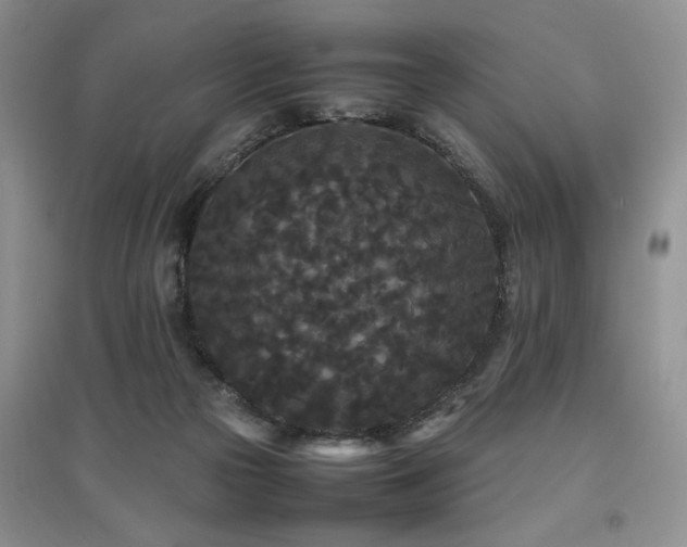 X0000097800169200803141102