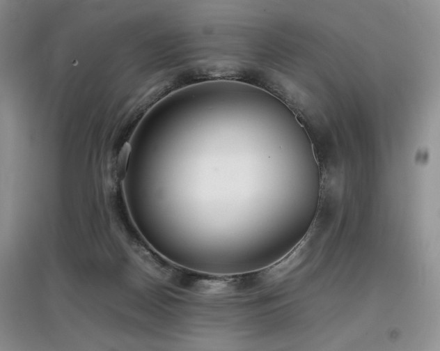 X0000097800170200803141102