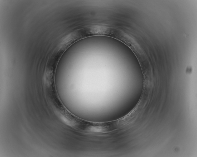 X0000097800171200803141102