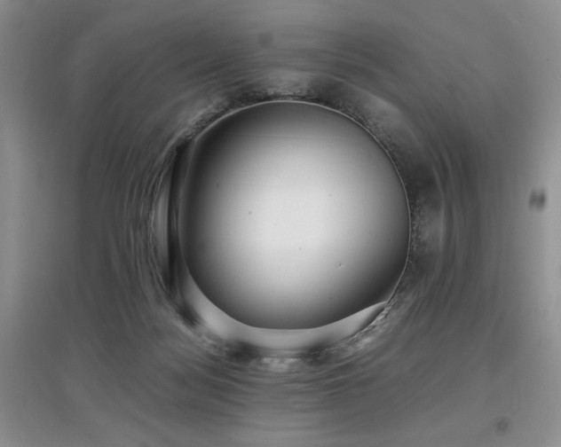 X0000097800172200803141102