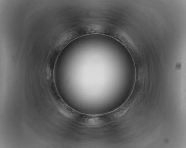 X0000097800173200803141102