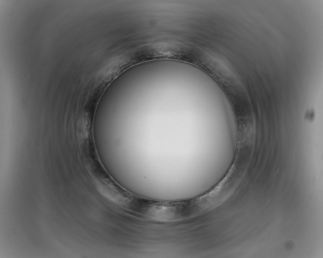 X0000097800174200803141102