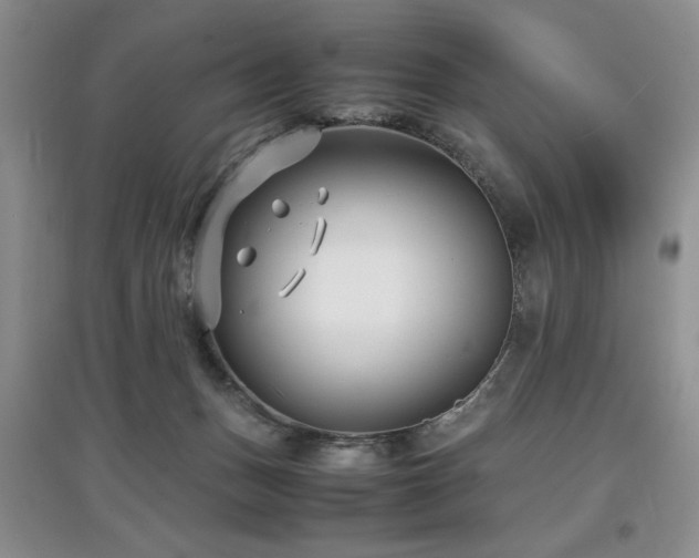 X0000097800175200803141102