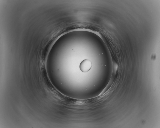 X0000097800176200803141102