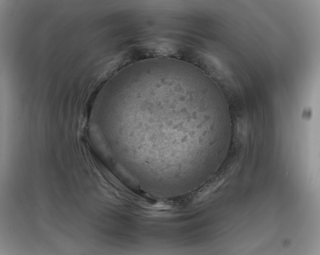 X0000097800177200803141102