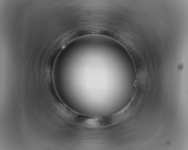 X0000097800178200803141102